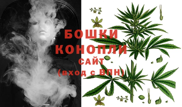ПСИЛОЦИБИНОВЫЕ ГРИБЫ Балабаново