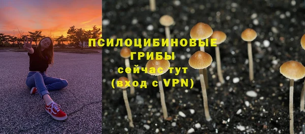 ПСИЛОЦИБИНОВЫЕ ГРИБЫ Балабаново