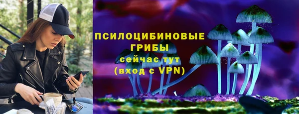 ПСИЛОЦИБИНОВЫЕ ГРИБЫ Балабаново
