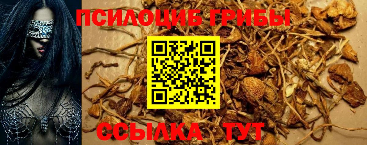 Галлюциногенные грибы ЛСД  где купить наркоту  Вход с VPN  Вольск  Галлюциногенные грибы мицелий 