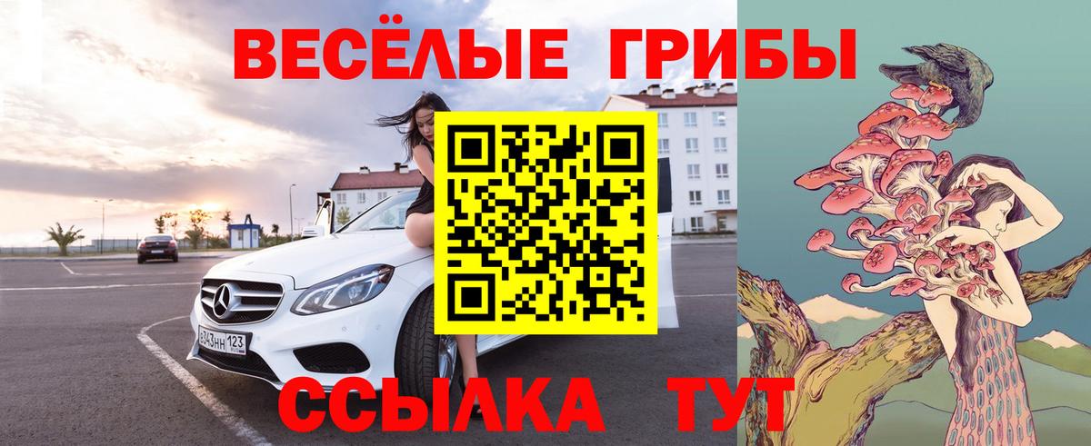 Галлюциногенные грибы Psilocybine cubensis Вольск